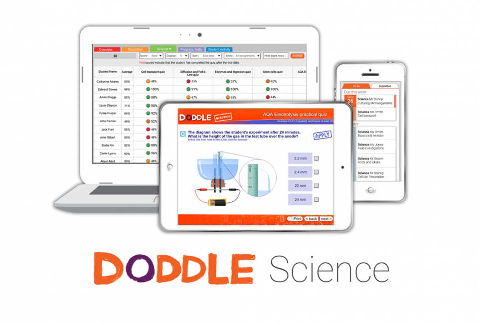 Doddle learn app picture