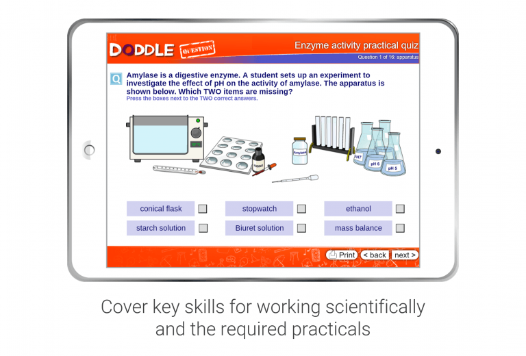 Doddle academy picture