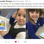 j2 art, literacy & phonics