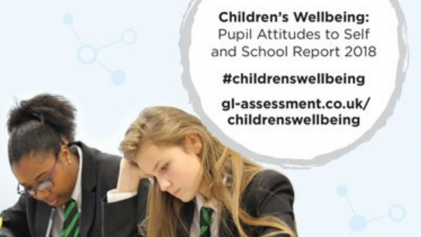 Children's Wellbeing Report
