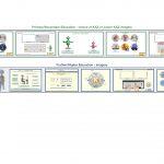 Available for Primary / Secondary schools as well as for FE/HE - with age related imagery, graphics and vocabulary.