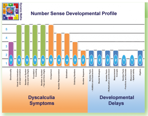 Assessment Profile