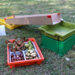 Conker Rolling - What's in my tray?