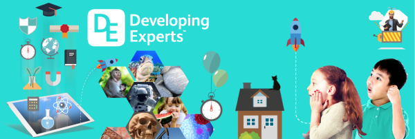 Developing Experts logo image