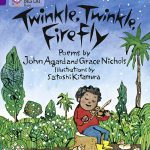 Twinkle Twinkle Firefly cover