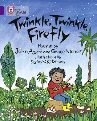 Twinkle Twinkle Firefly cover